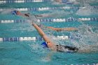 Swim vs Bentley  Wheaton College Swimming & Diving vs Bentley University. - Photo by Keith Nordstrom : Wheaton, Swimming & Diving